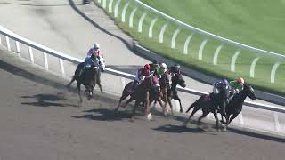 WOODBINE October 18 2024 RACE 1 Inquiry  Turn [upl. by Fidelity680]