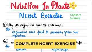 Nutrition in Plants  Class 7 Science QuestionAnswers Full NCERT exerciseStudywithNeekita [upl. by Lexa347]