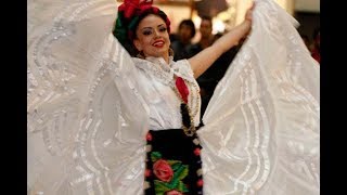 El tilingo lingo con pasos básicos Baile folcklorico del estado de Veracruz México [upl. by Rhynd]