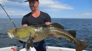 Spodsbjerg Langeland 2016  SDM Fishing Dänemark Dorsch DanmarkTorsk  Denemarken Kabeljauw [upl. by Terrie]