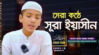 চমৎকার কন্ঠে সূরা ইয়াসিন  Surah Yasin  سورة يس হাফেজ সালেহ আহমদ তাকরীম  Hafez Saleh Ahmad Takrim [upl. by Goss]