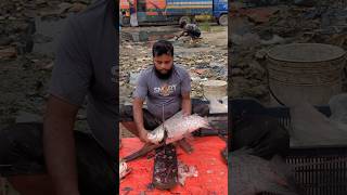 Amazing Big Katla Fish Cutting Skills trapping fishcutting fishcuttingskills youtubeshorts [upl. by Seroled]