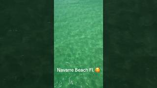 Navarre Beach Florida 😍 youtube youtubeshorts shorts short shortvideo viralvideo video fyp [upl. by Acimahs]