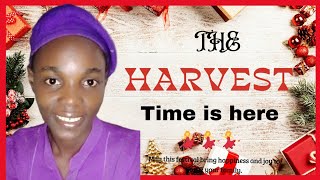 The Harvest Time is hereEcclesiastes 312 [upl. by Dacia547]