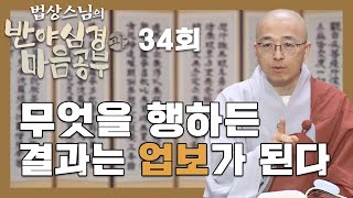 무엇을 행하든 결과는 업보가 된다  법상스님의 반야심경과 마음공부 34회 [upl. by Poppas512]