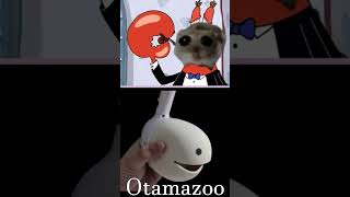 Sad Hamster Violin Meme 🎻  Otamatone amp Kazoo Cover Version  Woe is Me [upl. by Lawley206]