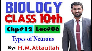 Types of Neurons  Chapter  12  Biology Class 10th  Lec 6 [upl. by Akemrej310]