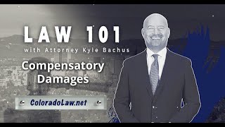 Compensatory Damages  Law 101  Bachus amp Schanker [upl. by Annatnom]