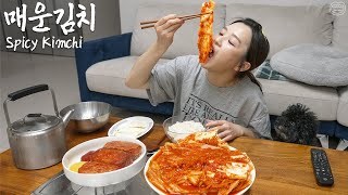 얼음물에 밥 말아도 놀라지 마세요 ft습습실비김치통스팸계란후라이ㅣSpicy KimchiㅣReal Mukbangㅣ [upl. by Ange]