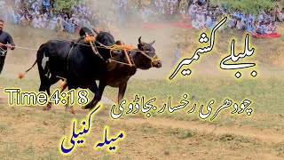 Bull Race Punjab  Akhara Jhelumdand bulbuly kashmir  Ch rukhsar shab bajar [upl. by Rattan]