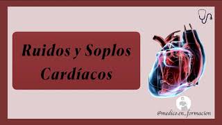 Ruidos y Soplos Cardíacos 🩺 🔊  Semiología CardÍaca [upl. by Maxey]