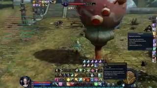 Busteep chanter 55 aion 25 PvP part 2avi [upl. by Naillimxam746]