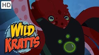 Wild Kratts 🌊 Water Animals Creature Powers 🦈  Kids Videos [upl. by Demodena]