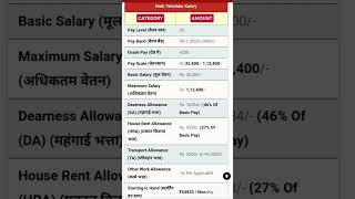 Naib Tehsildar Salary 2024 [upl. by Gareri]