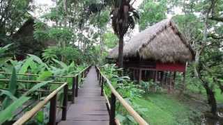 Centro Ecoturístico Las Guacamayas Chiapas [upl. by Hilarius388]