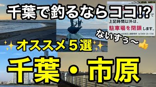 【釣り場攻略法】オススメランキング５選⁉︎トイレや駐車場解説⁉︎202311 [upl. by Davidde388]