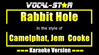 Camelphat Jem Cooke  Rabbit Hole Karaoke Version Lyrics HD VocalStar Karaoke [upl. by Alleoj]