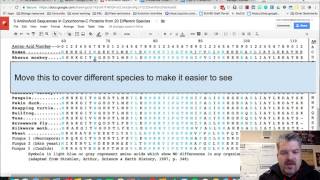 Cytochrome C Analysis [upl. by Ike]