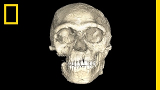 Are These the Oldest Modern Human Fossils Ever Found  National Geographic [upl. by Ansel528]