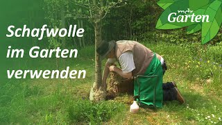 Schafwolle als Dünger und Wasserspeicher  MDR Garten [upl. by Catlin314]