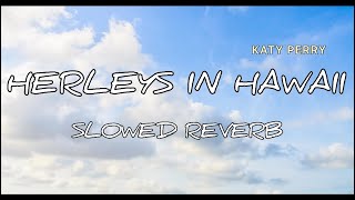 Herleys in Hawaii slowed reverb  new creation by Badal Kaushik [upl. by Arual]