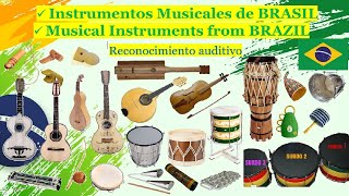 🌎 Instrumentos Musicales de BRASIL Instruments Musical from BRAZIL [upl. by Bruis698]