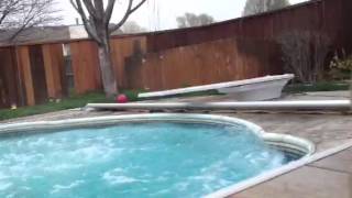 Hilarious diving board FAIL [upl. by Drucy]