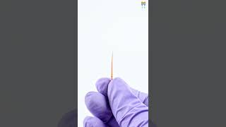 Waldent Gutta Percha Points Protaper Length Marked  Precision for Root Canal Treatments [upl. by Moberg940]