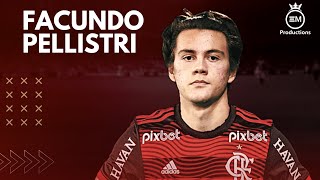 Facundo Pellistri ► Bem Vindo Ao Flamengo  Amazing Skills Goals amp Assists  2023 HD [upl. by Phil846]