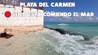 Playa del Carmen Se Esta Quedando Sin Ninguna Playa  12 Diciembre 2024 [upl. by Werna985]