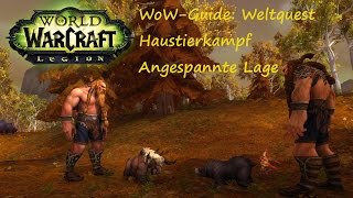 WoWGuide Weltquest Haustierkampf  Angespannte Lage  Andur und Rydyr [upl. by Byrom]