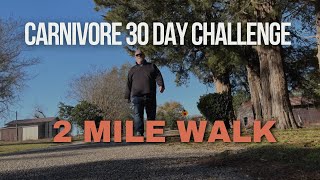 Day 10 of my 30 Day Carnivore Challenge Join me for walk 2 This time 2 miles [upl. by Hound]