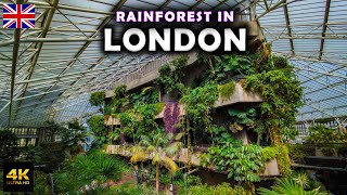 Guide to Barbican Centre in London 🇬🇧 Huge Garden at Barbican Conservatory [upl. by Refinne]