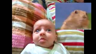 Funny Babies Videos  Dramatic Chipmunk Takes Over Cute Baby [upl. by Nal]