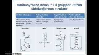 Proteinernas uppbyggnad funktion och indelning [upl. by Yblok709]