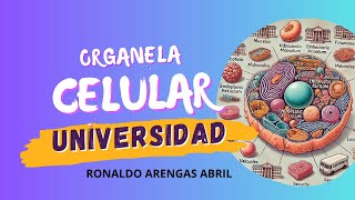 Organelo Celular amp comparación con una Universidad  Ronaldo Abril UNAD [upl. by Jazmin]