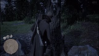 Diablo Ridge Treasure Map Location  Red Dead Redemption 2  Rank 30 [upl. by Goebel]