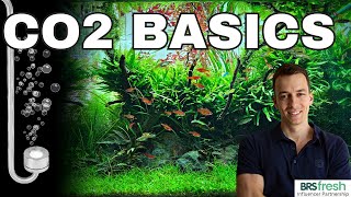 WHY CO2 Will Give You HEALTHY PLANTS [upl. by Mylo561]