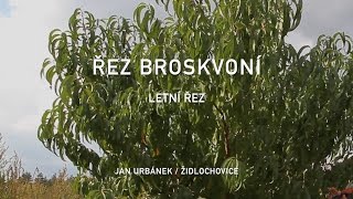 Řez broskvoní  letní řez 4 díl [upl. by Deaner648]