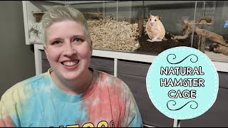 NATURAL HAMSTER CAGE PART 4  FINISHED CAGE TOUR [upl. by Novit]