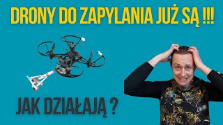 Drony do zapylania  czy to nowe zagrożenie dla pszczół [upl. by Yatnohs208]