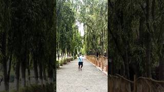 Badshah O badshah song srk music bollywood enjoy nanded garden lifestyle [upl. by Glaser731]