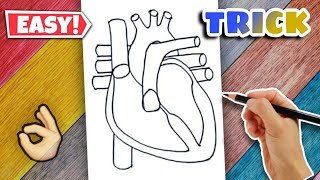 Heart Diagram  Easy Class 10 [upl. by Sigismundo]