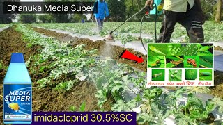 imidacloprid 305 SC insecticide  media super  Confidor super Bayer  Dhanuka  TAAC [upl. by Hpsoj]