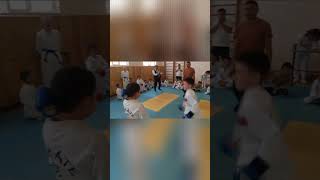 Combat Karate taekwondo karate mma sports [upl. by Tyree424]