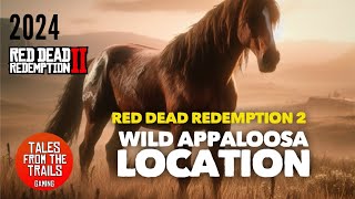 🎤 RDR2 Where to find Appaloosa Horses  Location for Wild Appaloosa [upl. by Aiyt]