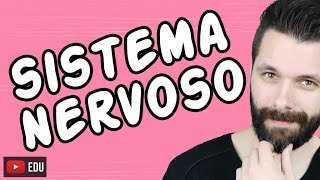 SISTEMA NERVOSO  FISIOLOGIA  Aula  Biologia com Samuel Cunha [upl. by Akcebar]