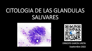 Citología de las Glándulas Salivales [upl. by Ymerej]