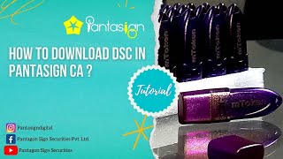 HOW TO DOWNLOAD DSC  PANTASIGN CA [upl. by Kathryne]