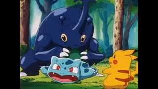 Heracross annoying Bulbasaur compilation [upl. by Treblih889]